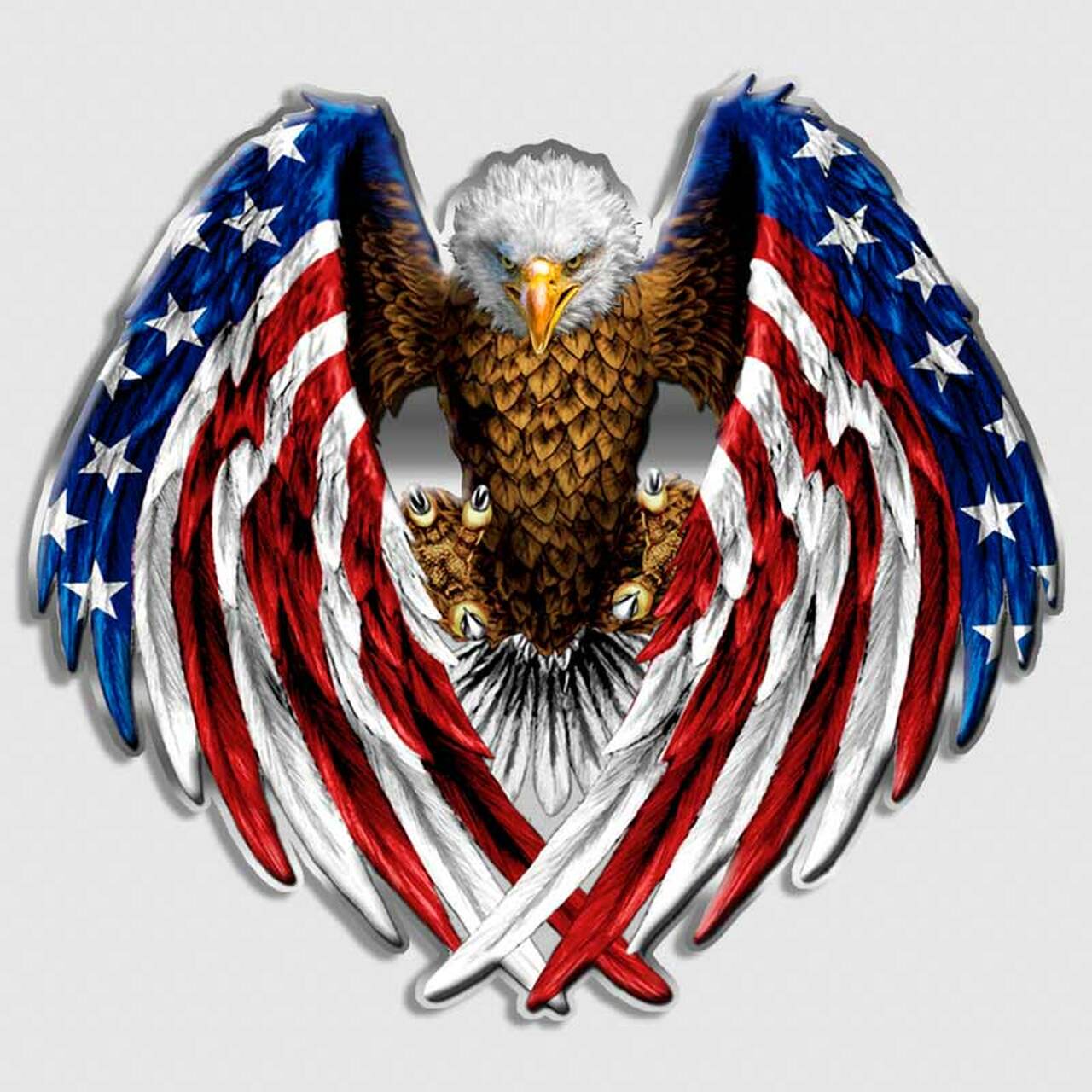 eagle flag.jpg